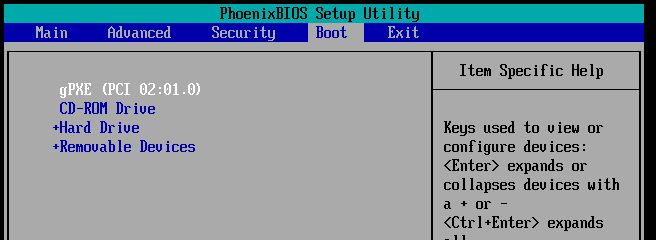 vmware-gpxe-bios.jpg